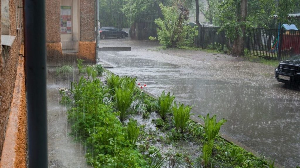Concevez votre aménagement paysager pour gérer le ruissellement des eaux pluviales