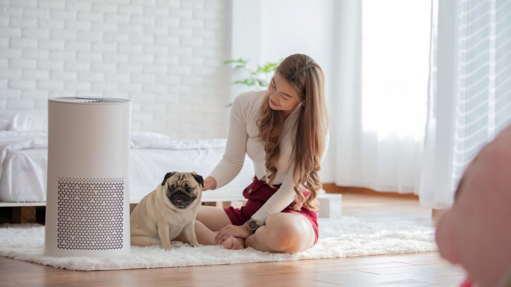 Remèdes à la maison : Qualité de l&rsquo;air intérieur