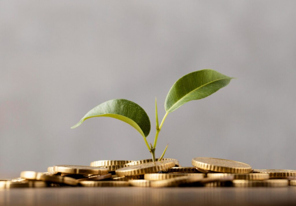 finance verte