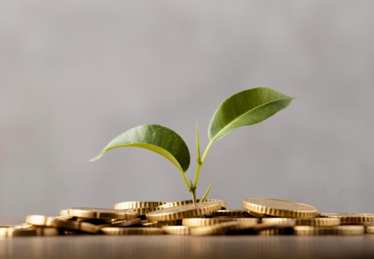 finance verte