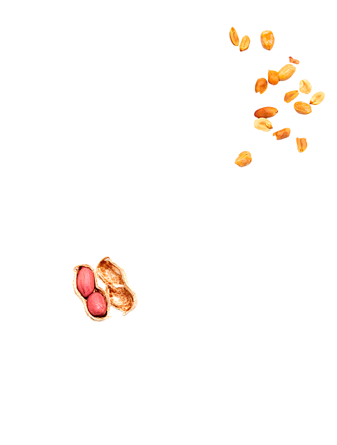 Manger de la cacahuète pour une rentrée scolaire pleine de vitalité