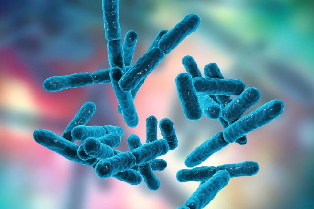Quel est cet intérêt soudain pour le probiotique ?