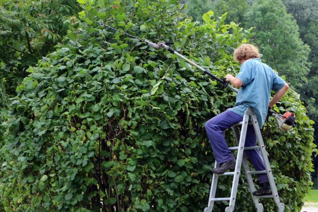 Des idées ingénieuses pour décorer un jardin