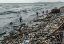 La pollution plastique dans les océans : un fléau grandissant