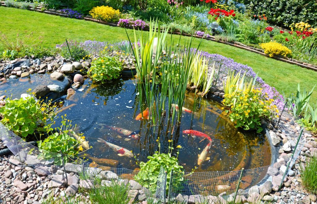 Comment réaliser un bassin de jardin pour poissons ?
