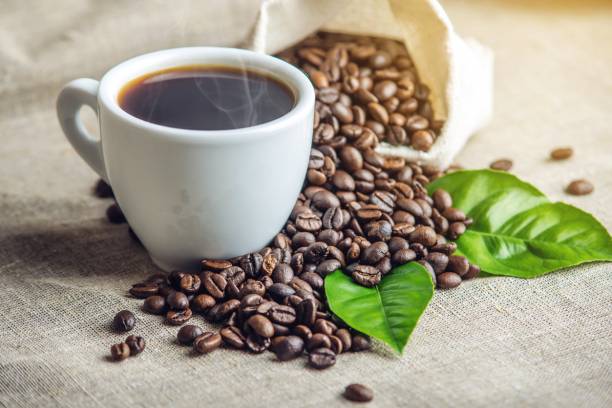 Origine et savoir-faire grains de café