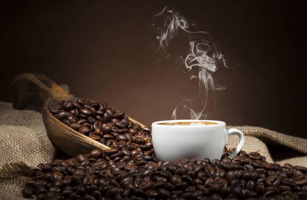 Origines des grains de café : quels terroirs et savoir-faire privilégier ?