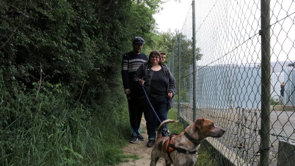 Vue générale du refuge SPA de Cholet avec plusieurs animaux prêts à être adoptés