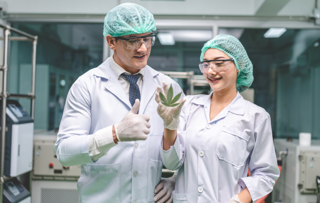 Le CBD fonctionne-t-il vraiment ? Ce que dit la science