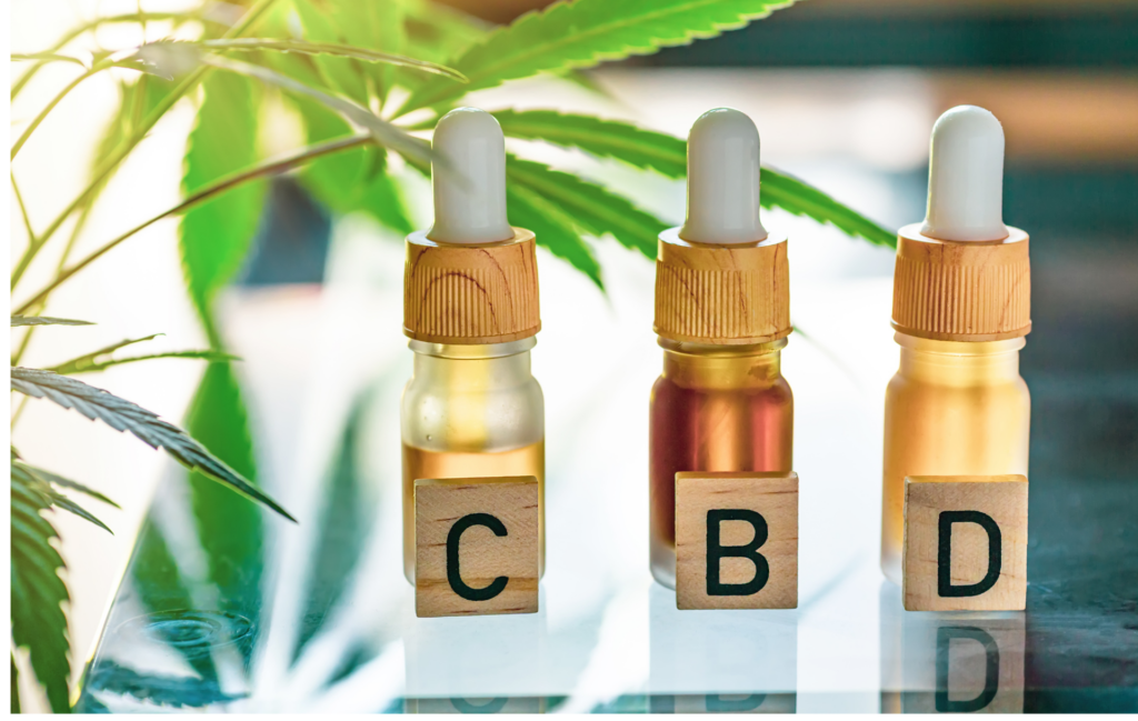 CBD : les produits les plus demandés et leurs effets