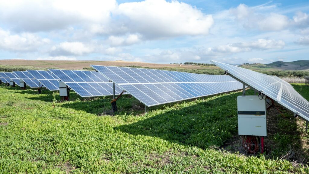 Tracker solaire agricole : comment concilier production d’énergie et rendement agricole ?