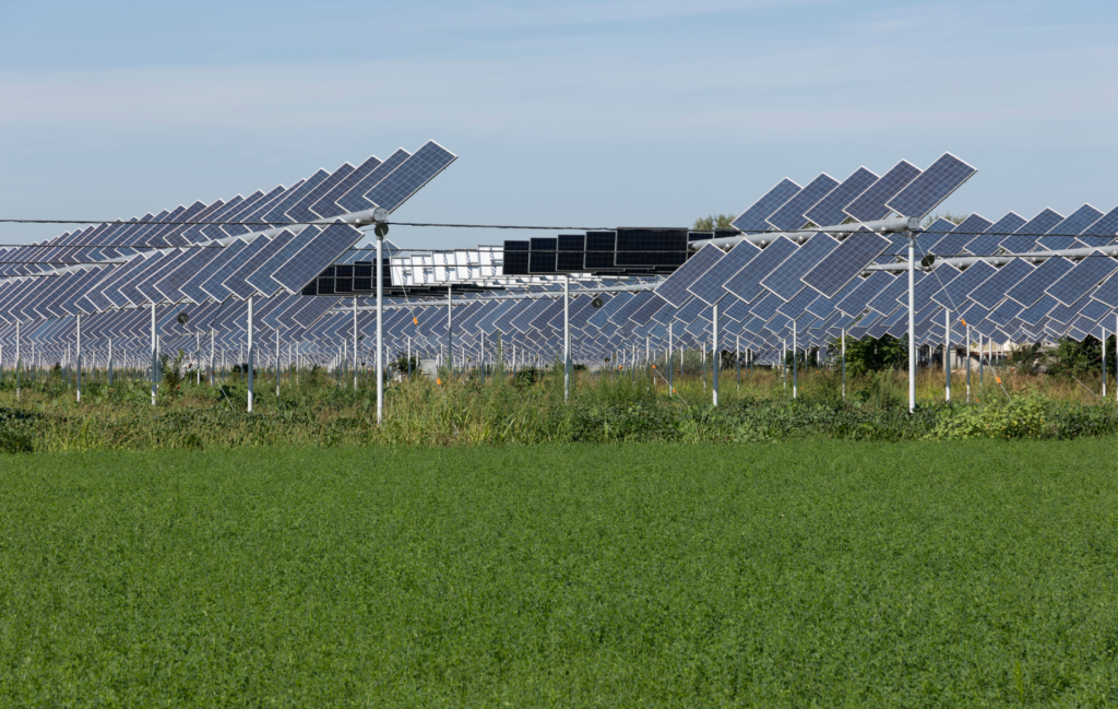 agrivoltaïsme