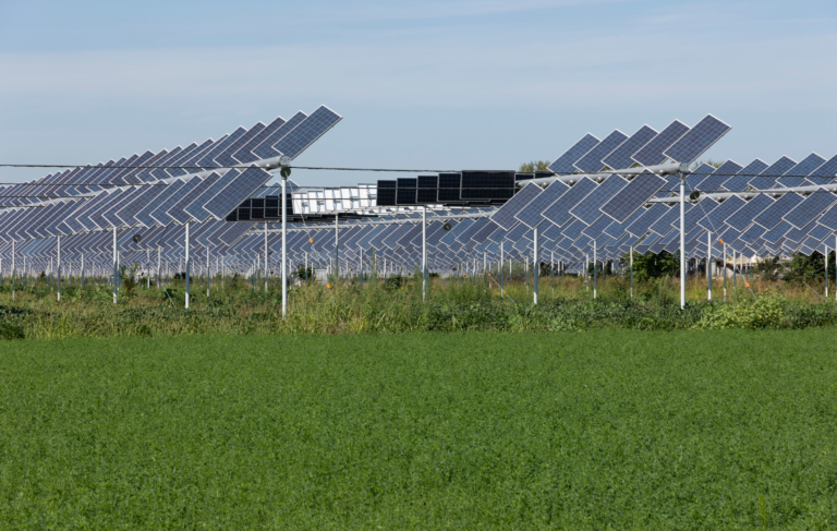 agrivoltaïsme