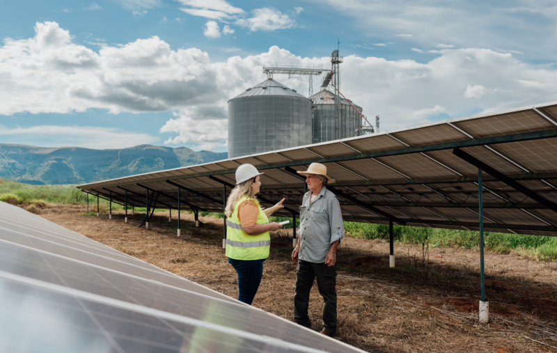 agrivoltaïsme